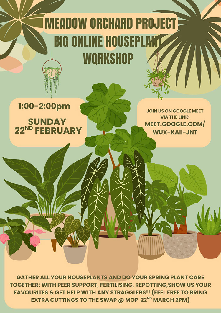 Big online houseplant workshop 1-2pm Sunday 22nd&nbsp;February